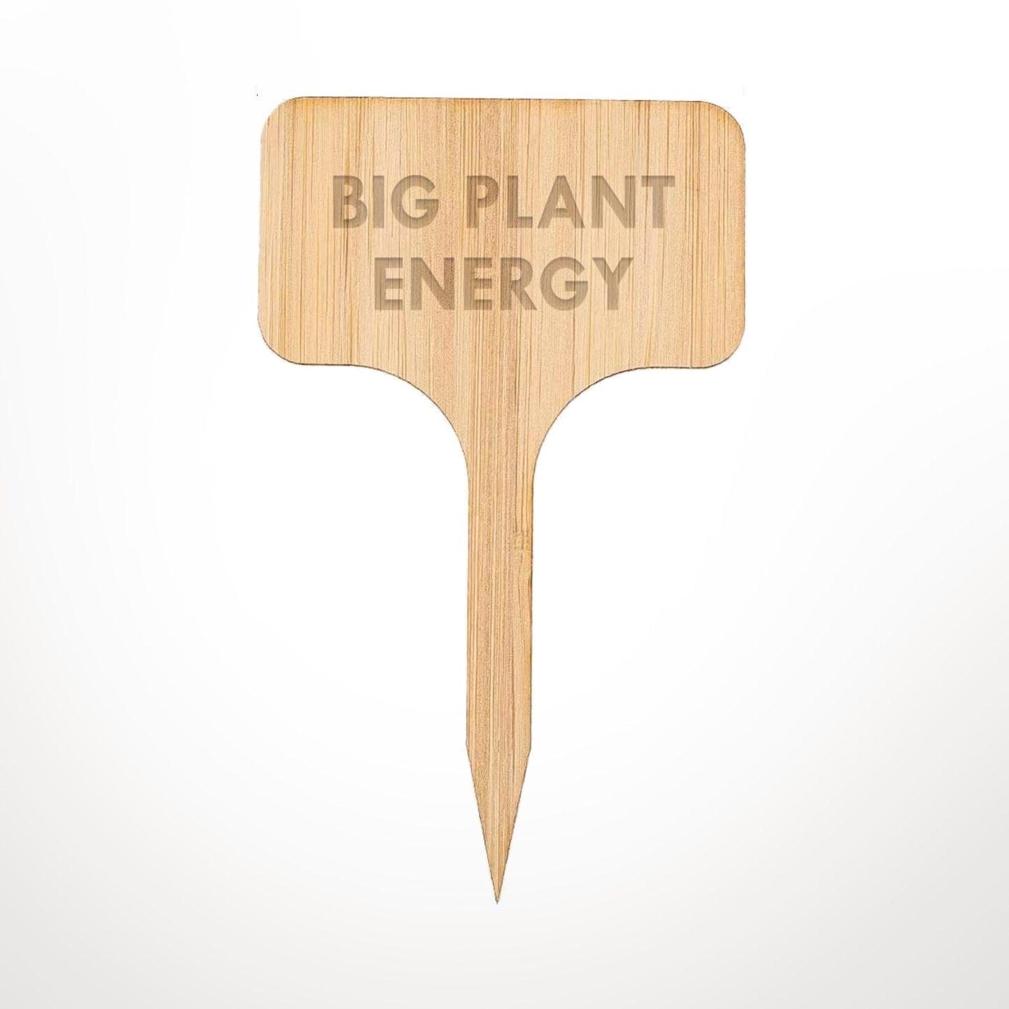 Funny Plant Marker Big Plant Energy-Plant Marker-Crimson and Clover Studio