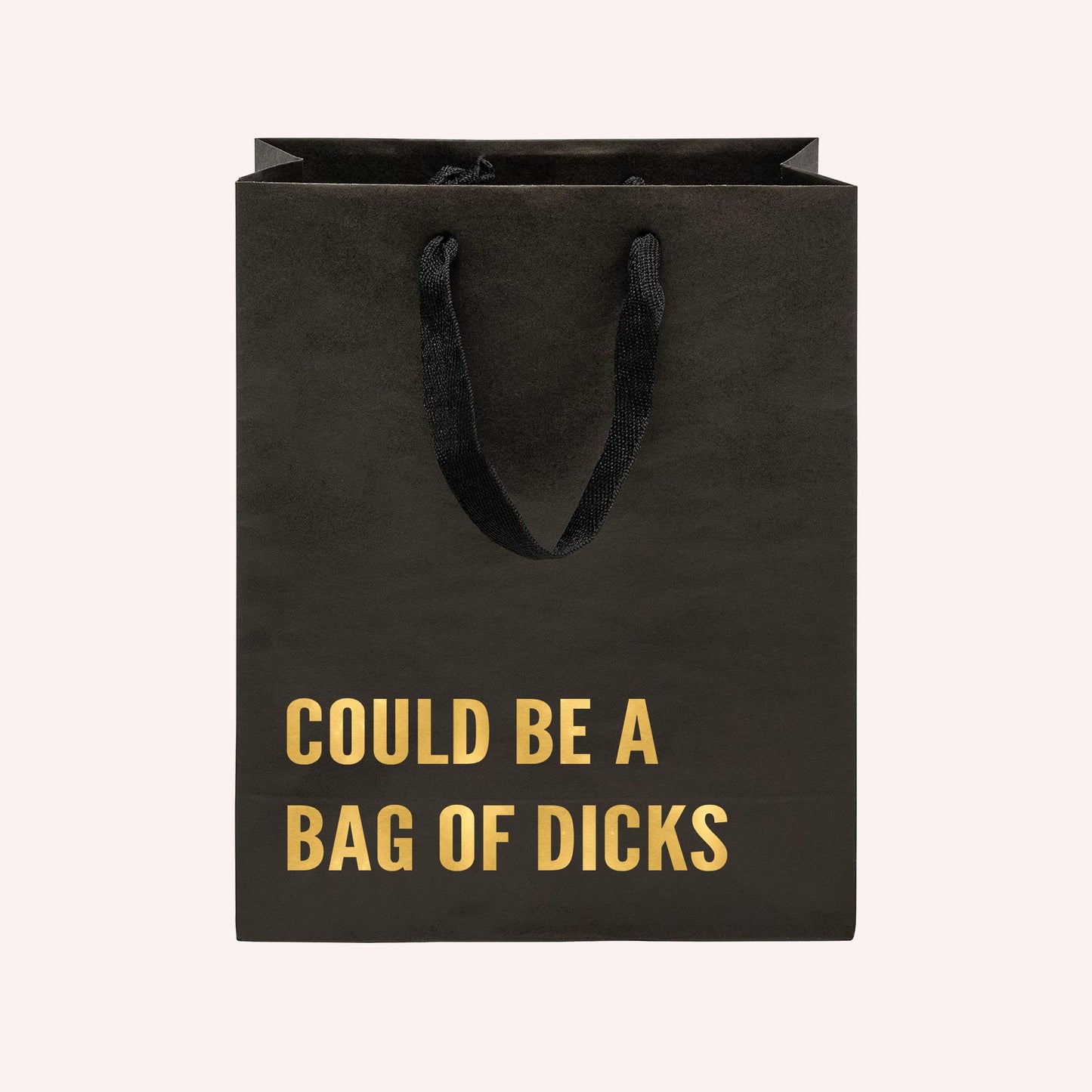 Could Be a Bag of Dicks Funny Gift Bag-Crimson and Clover Studio
