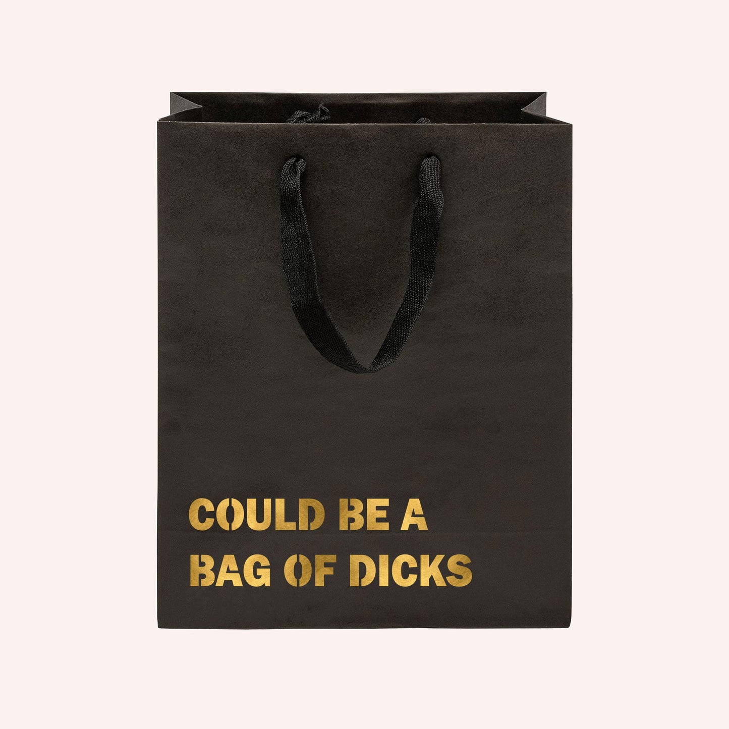 Could Be a Bag of Dicks Funny Gift Bag-gift bag-Crimson and Clover Studio