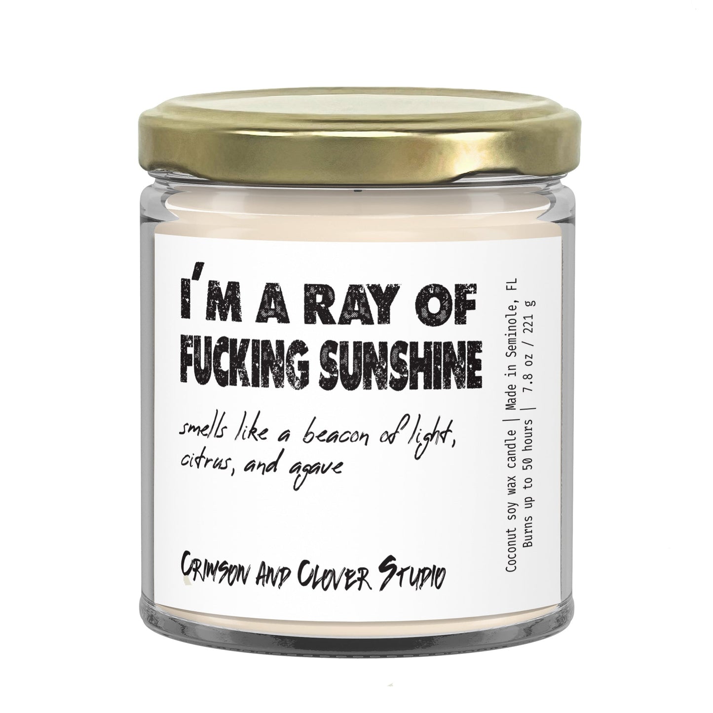 I'm a Ray of Fucking Sunshine Citrus Agave Funny Candle-Candles-Crimson and Clover Studio