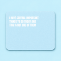 Important Things to Do Funny Mousepad